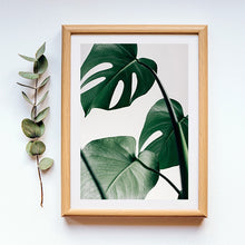 Charger l'image dans la galerie, Tableau 1 pièce - Plante Tropicale
